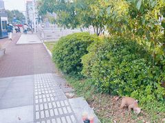 -宝龙广场(福州台江店)