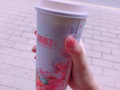 -鸡鸣赐茶(鸡鸣寺路店)
