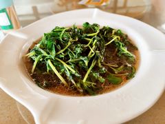 时令野菜-梦缘水乡·湖景餐厅