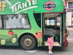 -BUS TOUR观光巴士