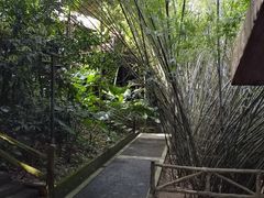 -海南槟榔谷黎苗文化旅游区