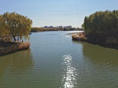 -大兴滨河森林公园