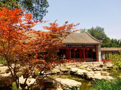 -香山公园