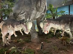 -湖南省地质博物馆