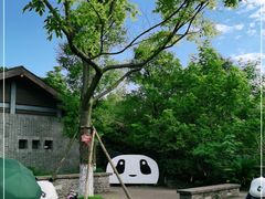 -都江堰中华大熊猫苑