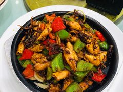 -力力豆花庄(广渠门店)