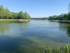 -大兴滨河森林公园