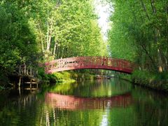 -合肥滨湖国家森林公园