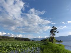 -大理洱海