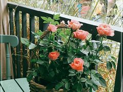-The Flowers Coffee(南山店)