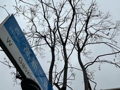 -麦霸KTV(光谷店)