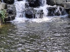 -百脉泉景区