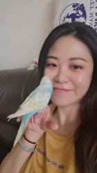 -久匠·野生眉半永久纹眉