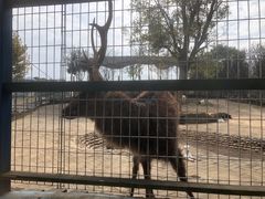 -武汉紫薇都市田园