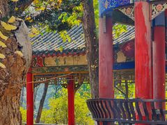 -华雅花园大酒店