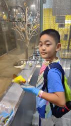 -神奇动物撸宠馆·羊驼·小浣熊·异宠(豫园店)