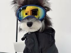 -博特宠物医院24h犬猫全科.骨科·异宠