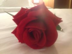 IMG_2254-宜必思酒店(扬州文昌阁店)