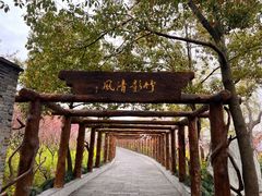 -南汇桃花村