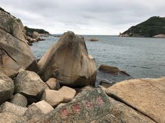 -东澳岛