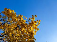 -南丰汇(新港东路店)