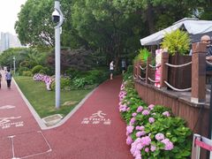 -北外滩滨江绿地