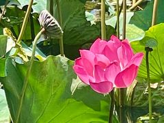 -烟桥私房菜馆(奋哥)