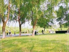 -九里河湿地公园