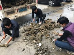 -蚝专家(北滘店)