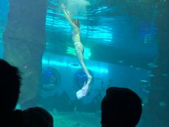 -北戴河圣蓝海洋公园