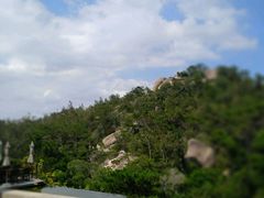 -厦门园林植物园-植物园滴水山房