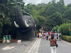 -野象谷景区
