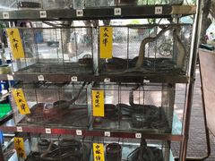-祈胜邨•顺德鱼生•顺德菜(容桂店)