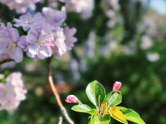 -元大都城垣遗址公园