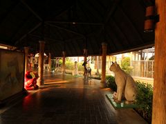 -清迈夜间动物园