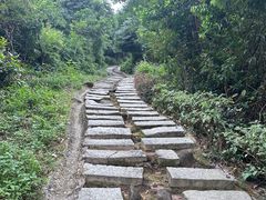 -阳台山森林公园