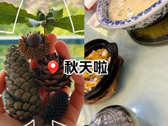 -禧福楼·十五年老店(科技城店)