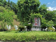 -广州白江湖森林公园