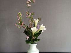 -荷兰布尔玛国际花艺学院