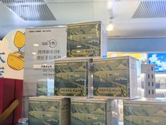 -招商蛇口邮轮母港(观光客运)