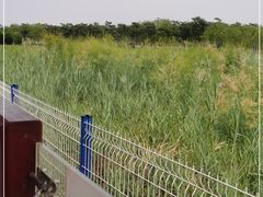 -西青郊野公园