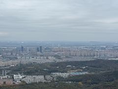 -紫金山山顶公园