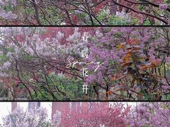 -国家植物园