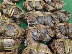 -盒马鲜生(文景博乐里购物广场店)