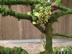 -呀路古热带植物园