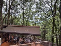 -巴倒烫陆派火锅山庄(南山总店)