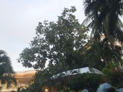 -白沙滩