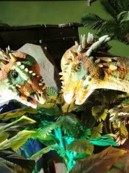 点击看大图 -恐龙探索乐园(磁器口店)