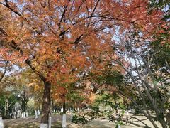 -白塘生态植物园