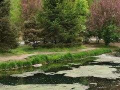 -长白岛森林公园